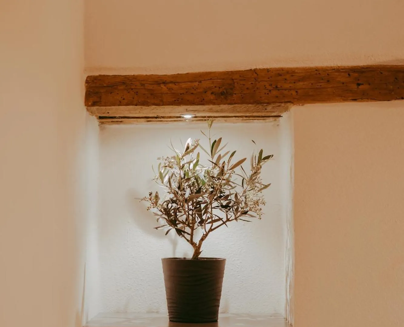 Country house Agriturismo Il Macchione Pienza Italy